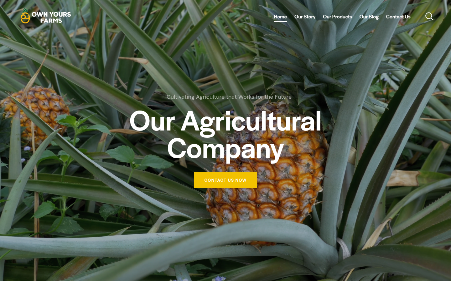 Own Yours Farms website preview
